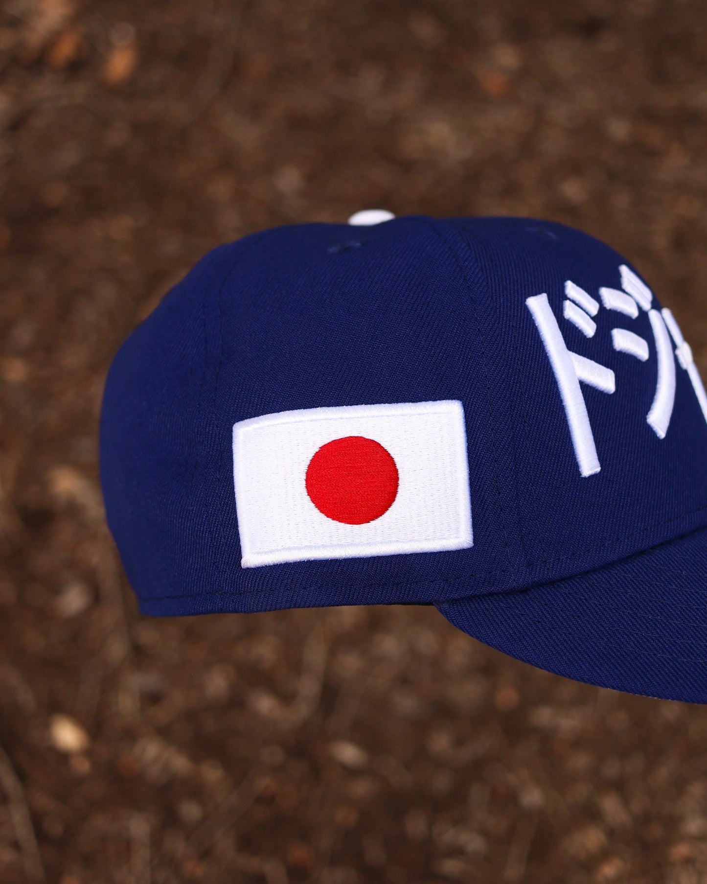 Blue Los Angeles LA Dodgers Kanji Japan New Era Fitted Hat